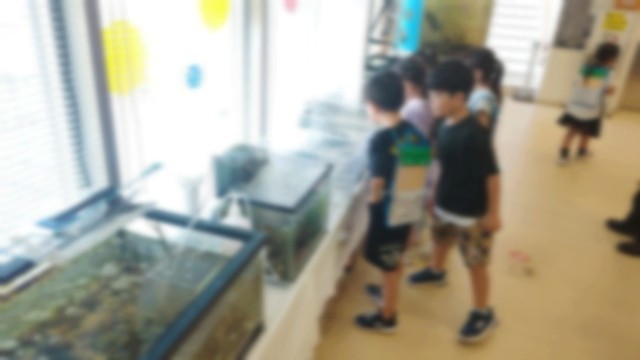 https://edogawa.schoolweb.ne.jp/1310101/blog_img/39172980?tm=20240913093629