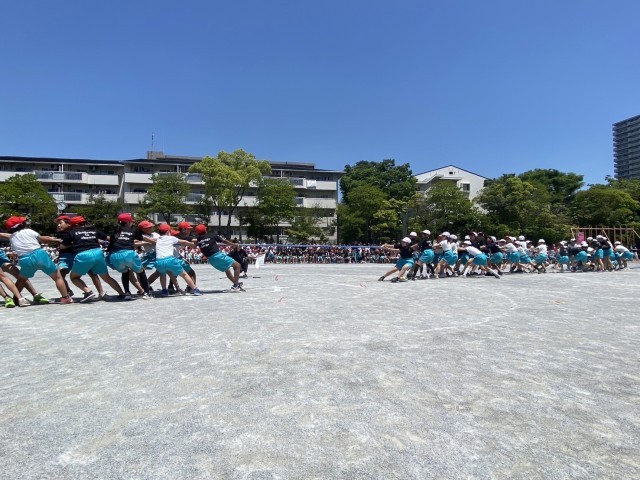 助っ人つなひき