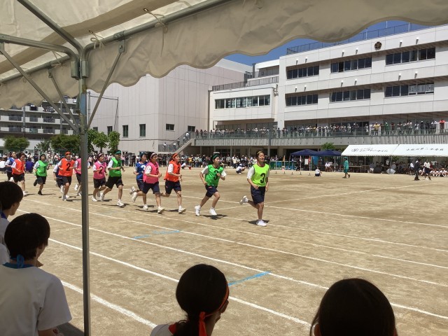 https://edogawa.schoolweb.ne.jp/1320032/blog_img/5170244?tm=20240518104027