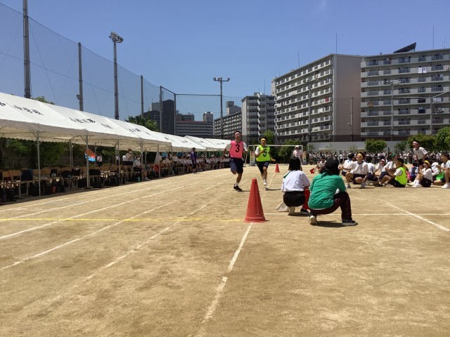 https://edogawa.schoolweb.ne.jp/1320032/blog_img/5170288?tm=20240518115114