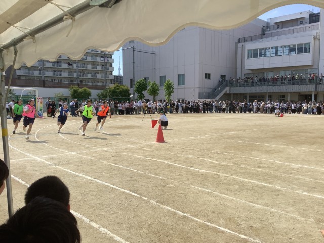 https://edogawa.schoolweb.ne.jp/1320032/blog_img/5170560?tm=20240518173452