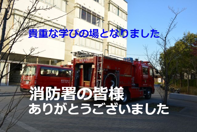 https://edogawa.schoolweb.ne.jp/1320037/blog_img/141928781?tm=20241217173802