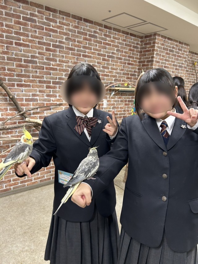 https://edogawa.schoolweb.ne.jp/1320037/blog_img/230394672?tm=20250207122430