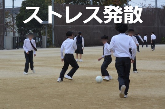 https://edogawa.schoolweb.ne.jp/1320037/blog_img/77583583?tm=20241114162007