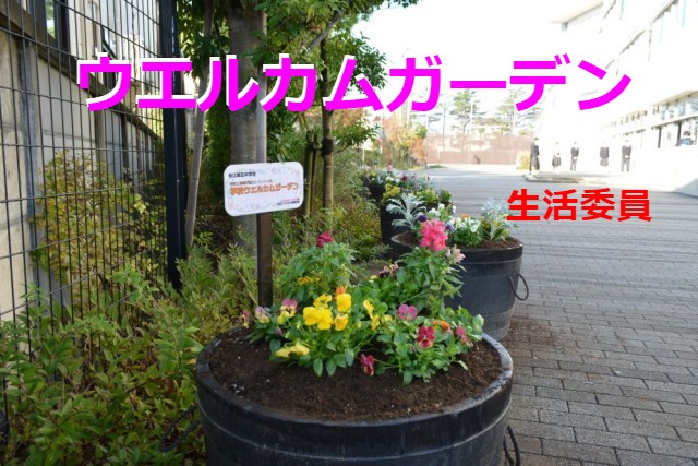 https://edogawa.schoolweb.ne.jp/1320037/blog_img/96177400?tm=20241122084341