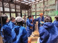 養鶏体験その１