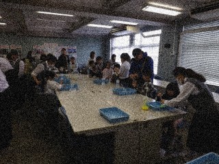科学部のスライムづくり