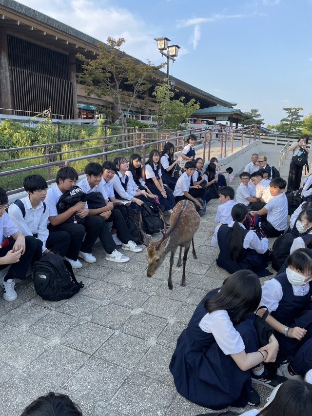 https://edogawa.schoolweb.ne.jp/1320040/blog_img/31790483?tm=20240905181930