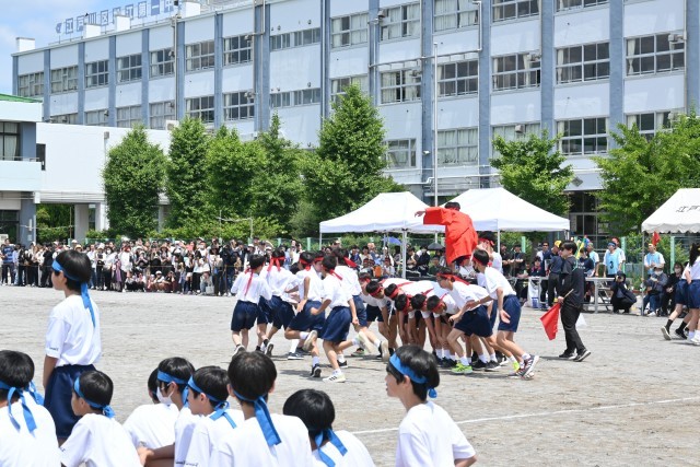 https://edogawa.schoolweb.ne.jp/1320040/blog_img/8317231?tm=20240604142035