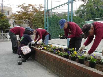 植えつけ作業中