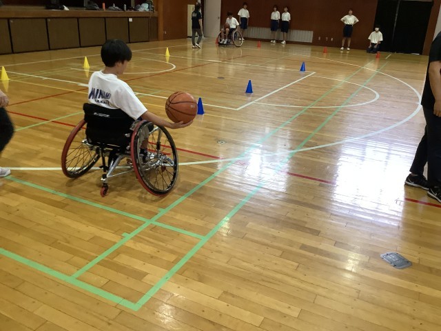 https://edogawa.schoolweb.ne.jp/1320043/blog_img/54167710?tm=20241003110429