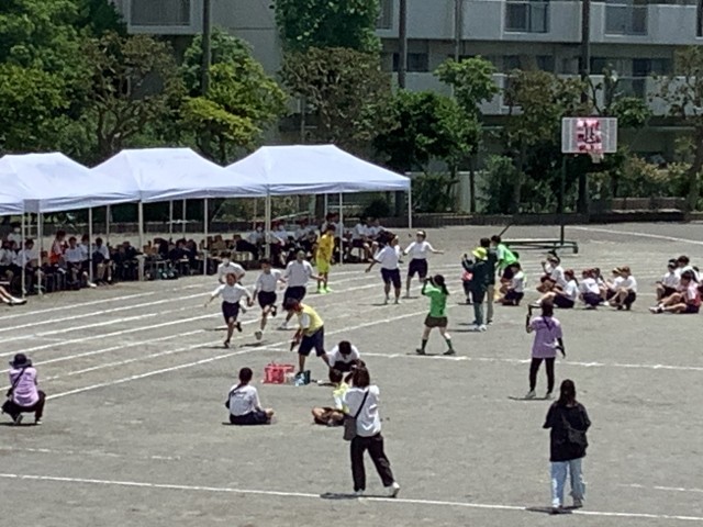 https://edogawa.schoolweb.ne.jp/1320043/blog_img/7028035?tm=20240601112823