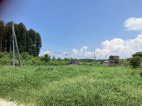 農家での作業の様子を巡回してます。