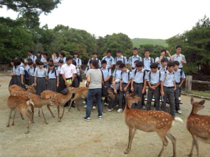 鹿と一緒にクラス写真