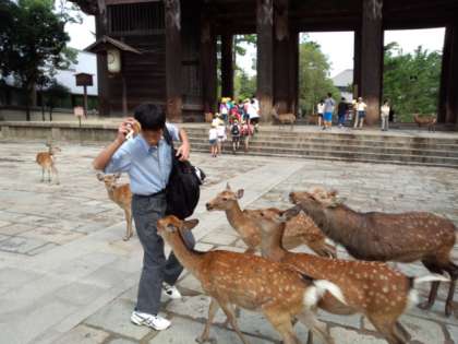 鹿煎餅を持つと・・鹿が