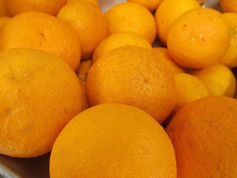 熊本県産の甘夏です。