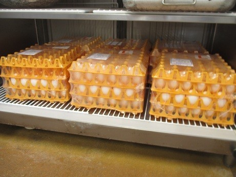 冷蔵庫がたまごでいっぱいです。