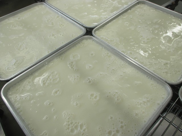 牛乳寒天はバットにいれて固めてからカットします。