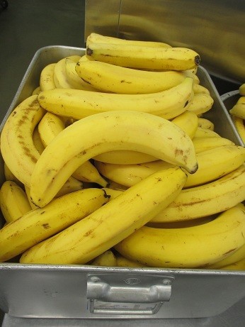 エクアドル産有機バナナです。大きいですね。