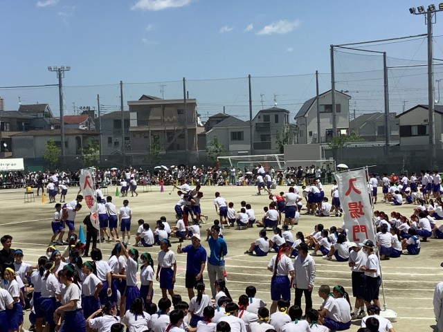 https://edogawa.schoolweb.ne.jp/1320051/blog_img/5184253?tm=20240525122554