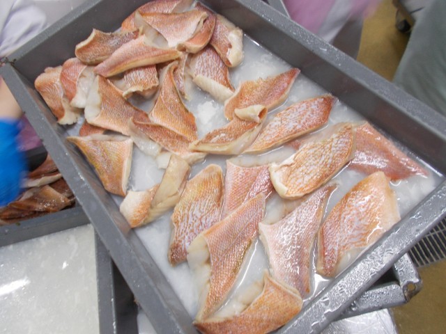 スチームで下処理した魚