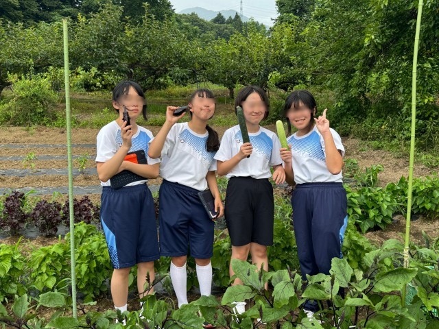 https://edogawa.schoolweb.ne.jp/1320060/blog_img/16148903?tm=20240726192619