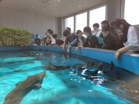 標津サーモン科学館