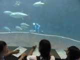 葛西水族園