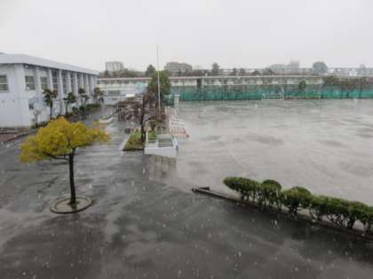 みぞれが雪に