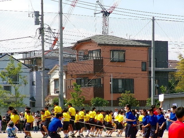 https://edogawa.schoolweb.ne.jp/1320065/blog_img/5648910?tm=20240527205213