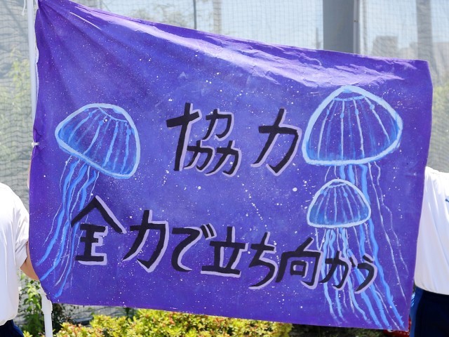 https://edogawa.schoolweb.ne.jp/1320147/blog_img/5179754?tm=20240523131407